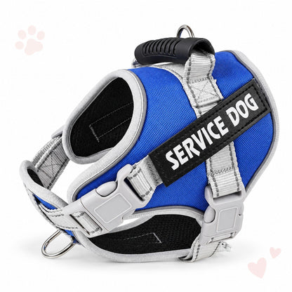 Reflektierendes Hundegeschirr, sicher & verstellbar