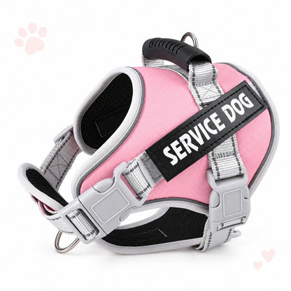 Reflektierendes Hundegeschirr, sicher & verstellbar