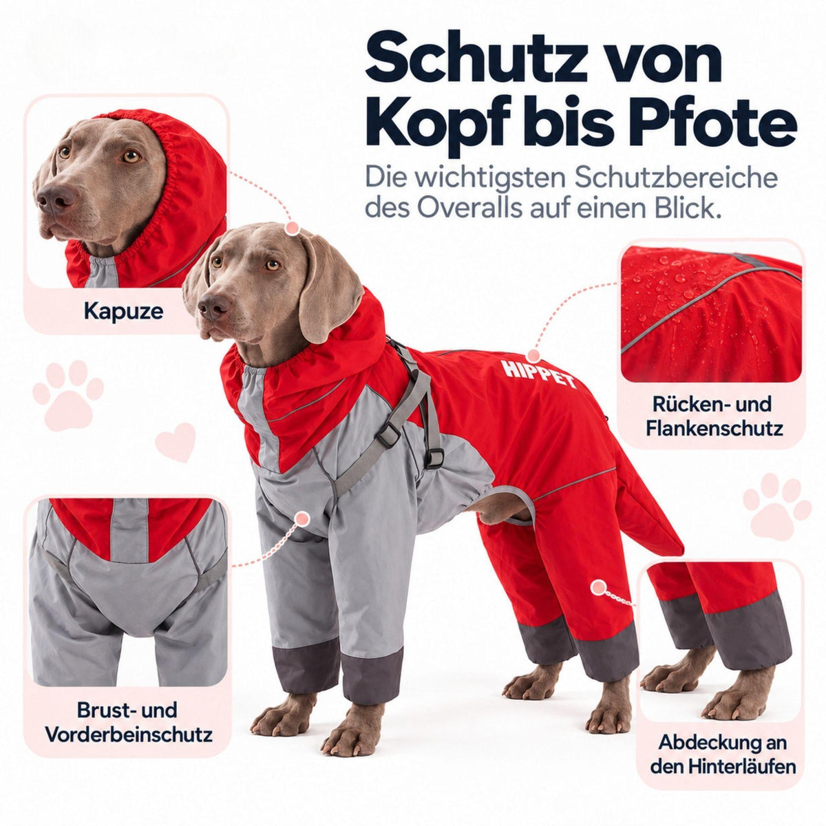 Hunde-Regenoverall für große Hunde mit Kapuze