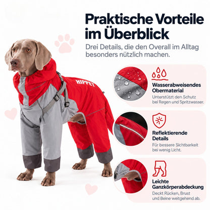 Hunde-Regenoverall für große Hunde mit Kapuze