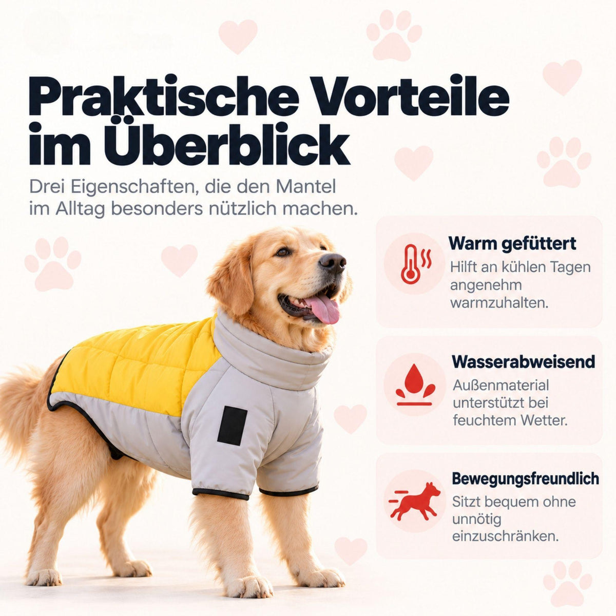 Wintermantel für Hunde – Warm & wasserdicht