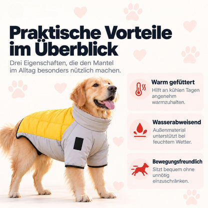 Wintermantel für Hunde – Warm & wasserdicht