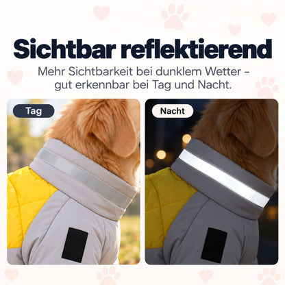Wintermantel für Hunde – Warm & wasserdicht
