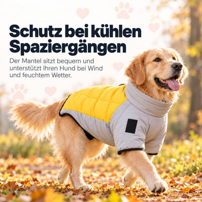 Wintermantel für Hunde – Warm & wasserdicht