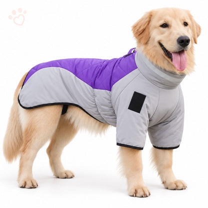 Wintermantel für Hunde – Warm & wasserdicht