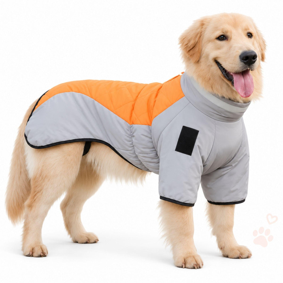 Wintermantel für Hunde – Warm & wasserdicht