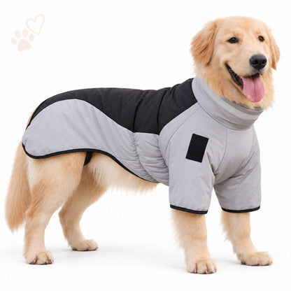 Wintermantel für Hunde – Warm & wasserdicht