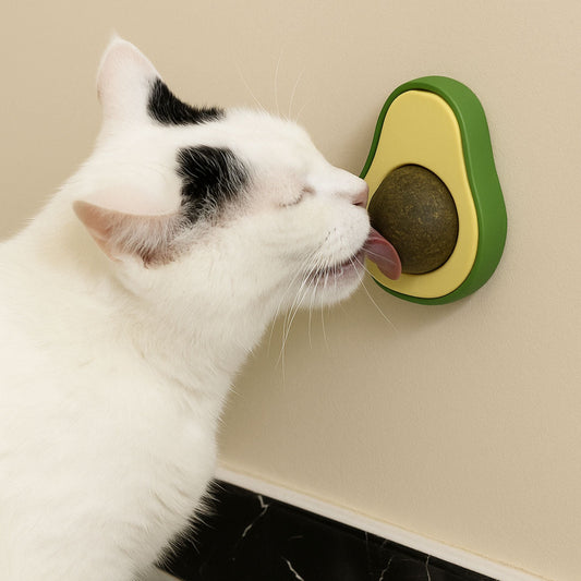 Avocado Katzenminze-Ball – Für Zahnpflege & Spielspaß Happy Little Paws