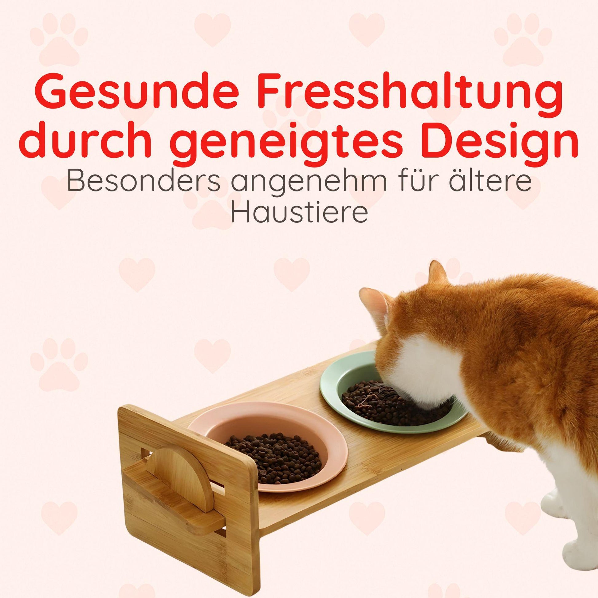Bambus-Keramik Futternapf – Erhöht & ergonomisch Happy Little Paws