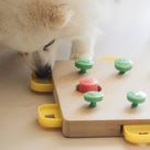 Erziehung & Training