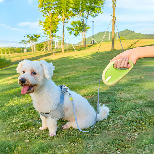FlexControl 3M – Die smarte Hundeleine Happylittlepaws
