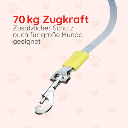 FlexControl 3M – Die smarte Hundeleine - Happy Little Paws