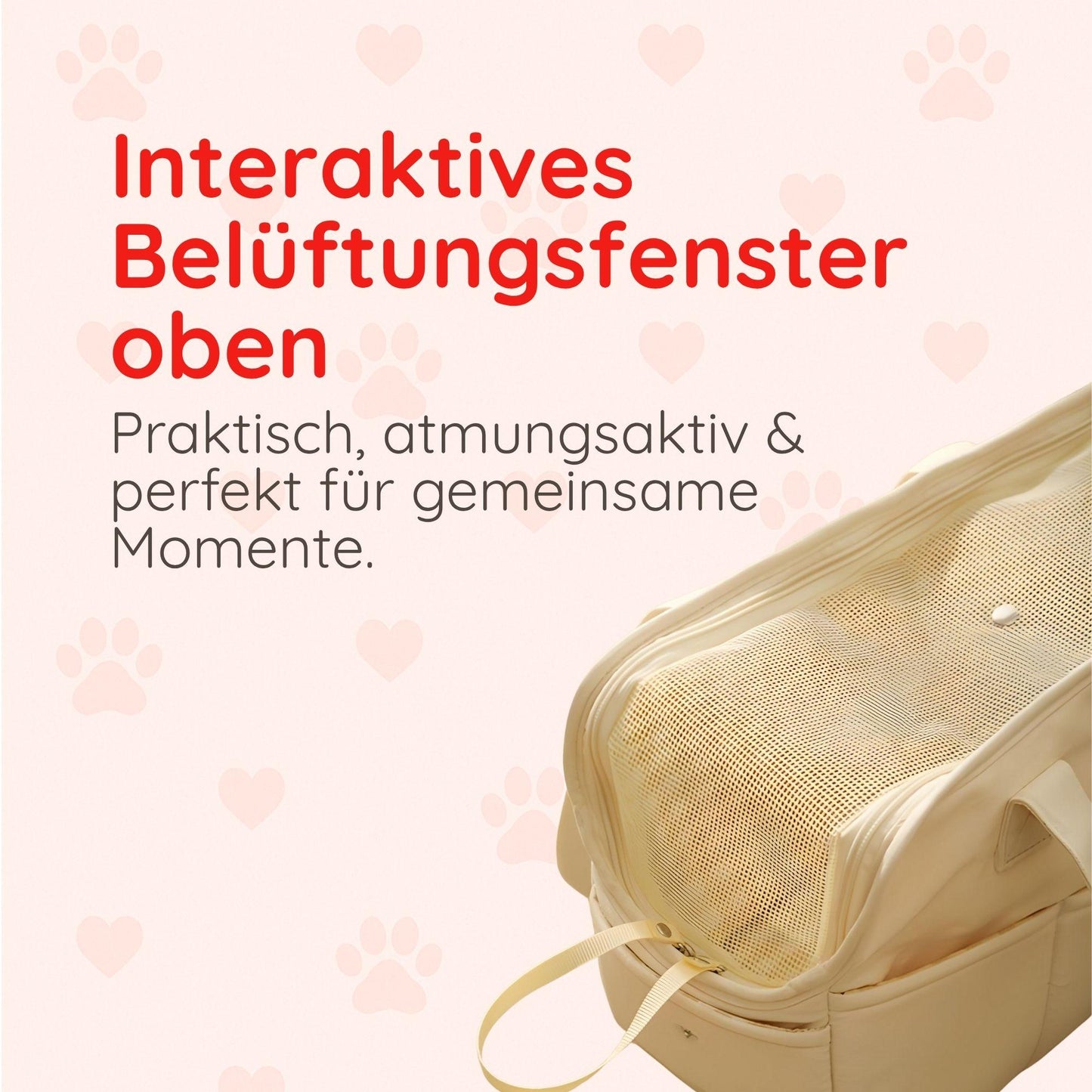 Haustiertragetasche – Für Katzen & kleine Hunde Happy Little Paws
