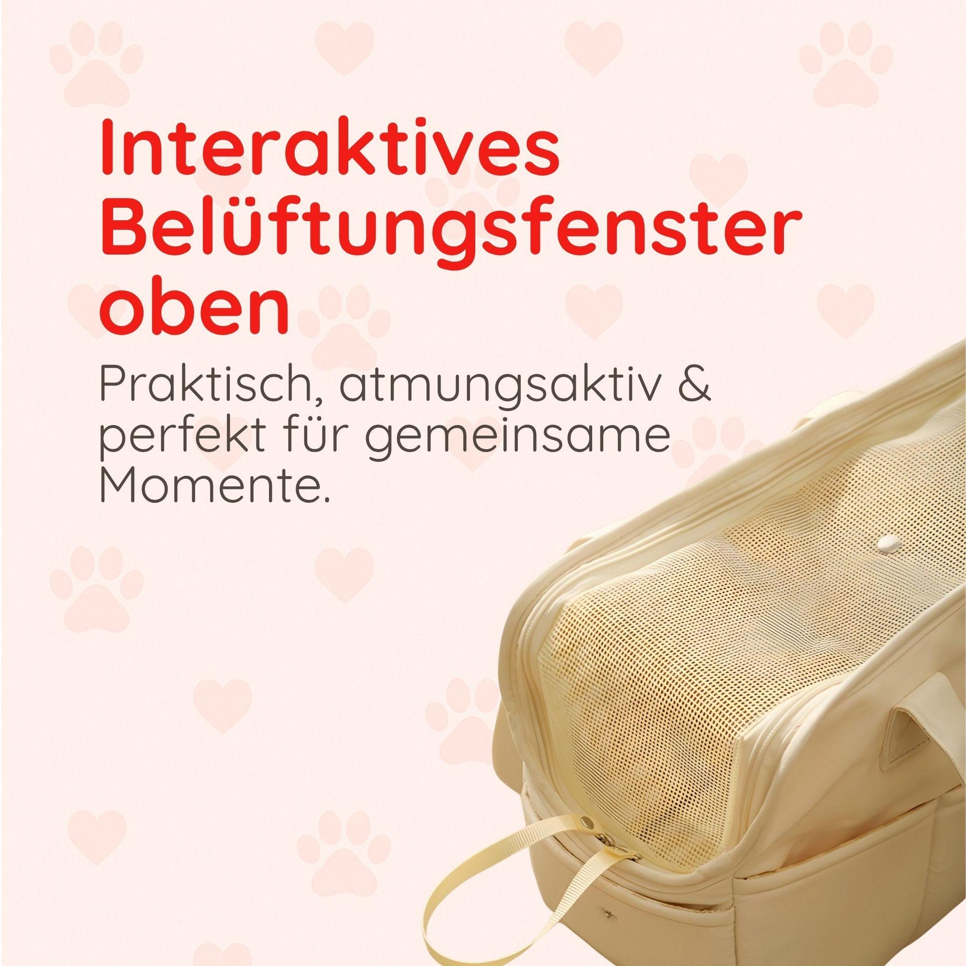 Haustiertragetasche – Für Katzen & kleine Hunde Happy Little Paws