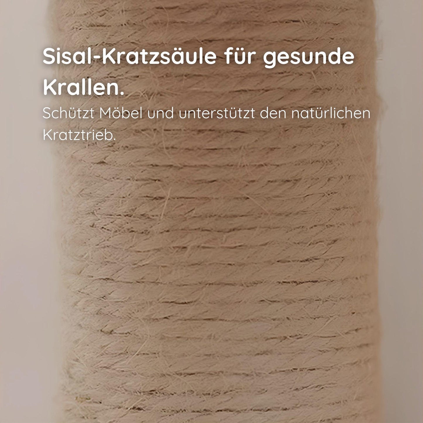 Katzen-Holzspielzeug – Drehbare Kratzsäule & Intelligenztrainer Happy Little Paws