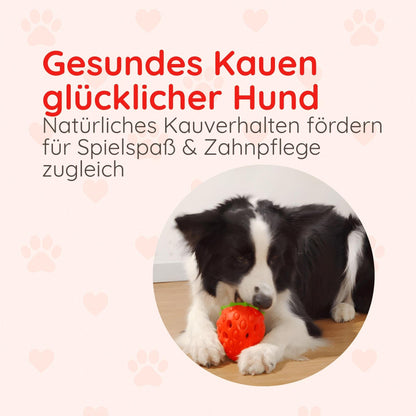 Kauspielzeug Erdbeere – Interaktiv & Aus Naturgummi - Happylittlepaws