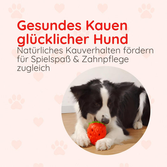 Kauspielzeug Erdbeere – Interaktiv & Aus Naturgummi - Happylittlepaws