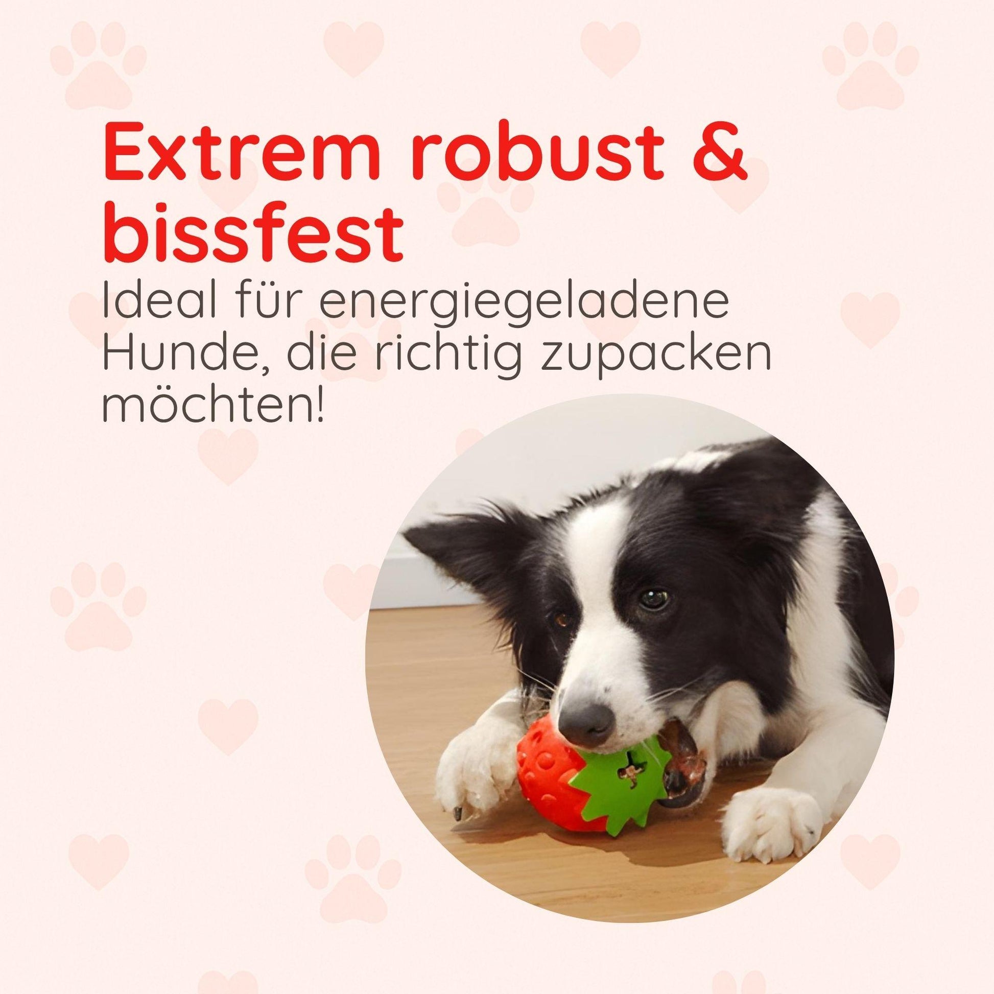 Kauspielzeug Erdbeere – Interaktiv & Aus Naturgummi - Happylittlepaws