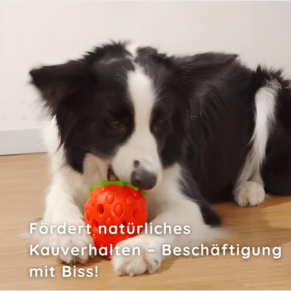 Kauspielzeug Erdbeere – Interaktiv & Aus Naturgummi Happylittlepaws