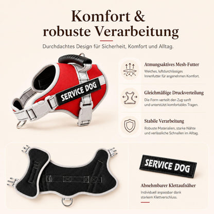 Reflektierendes Hundegeschirr, sicher & verstellbar