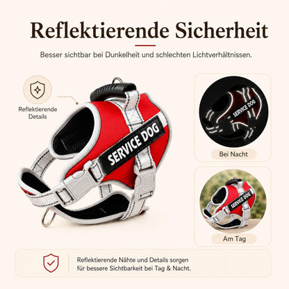 Reflektierendes Hundegeschirr, sicher & verstellbar