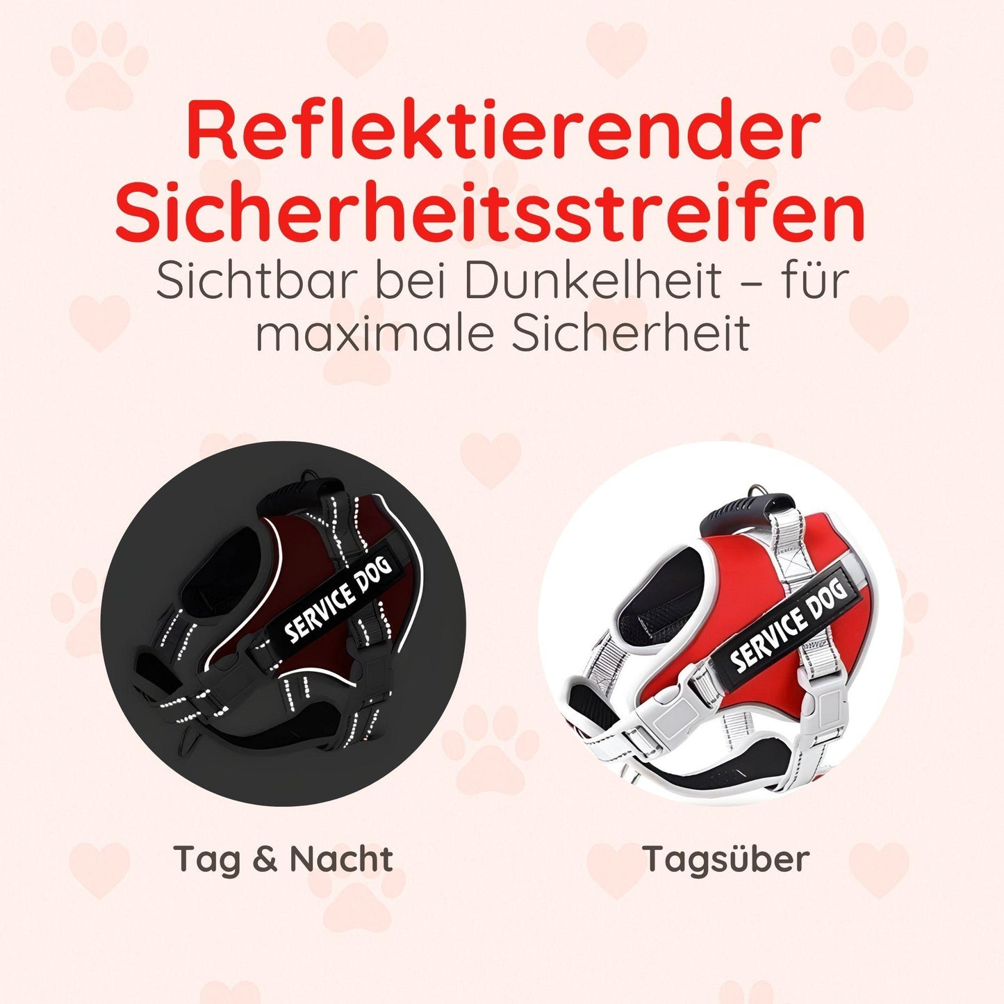 Reflektierendes Hundegeschirr mit Leine 