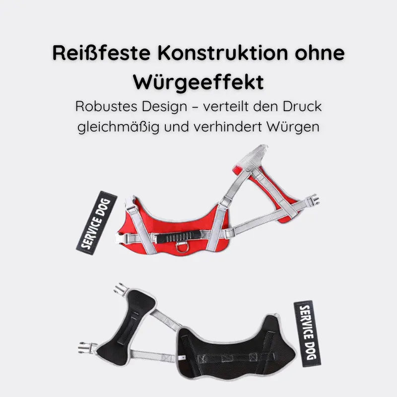 Reflektierendes Hundegeschirr mit Leine Happylittlepaws