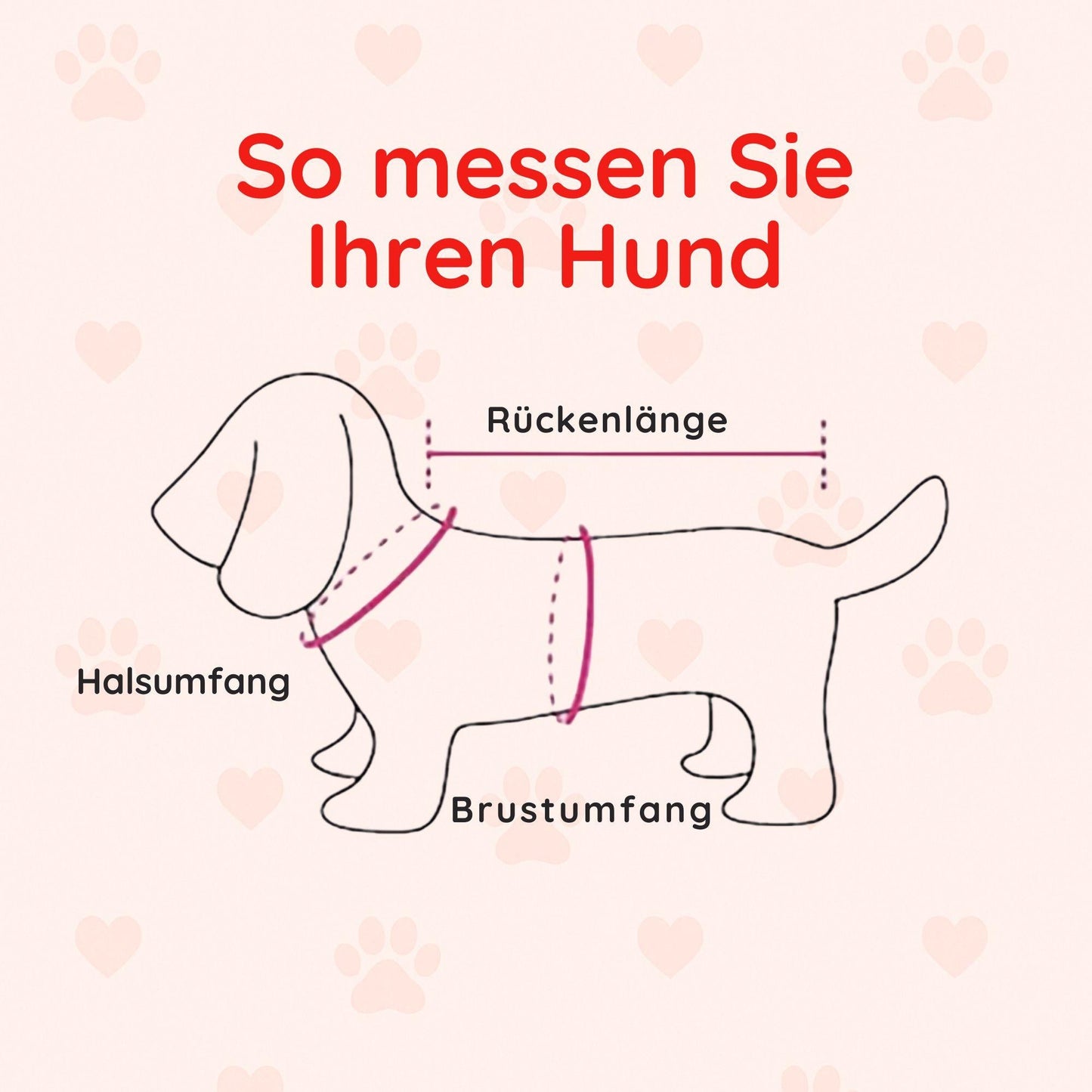 Regenjacke für Hunde – Stilvoll & Wasserfest Happy Little Paws