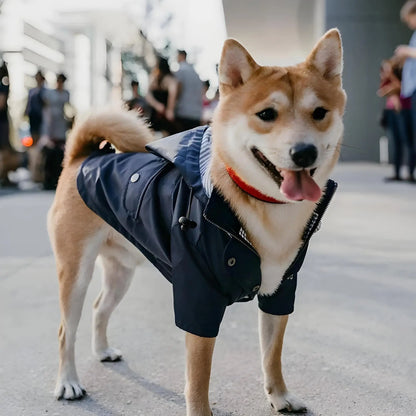 Rain jacket for dogs – stylish &amp; waterproof