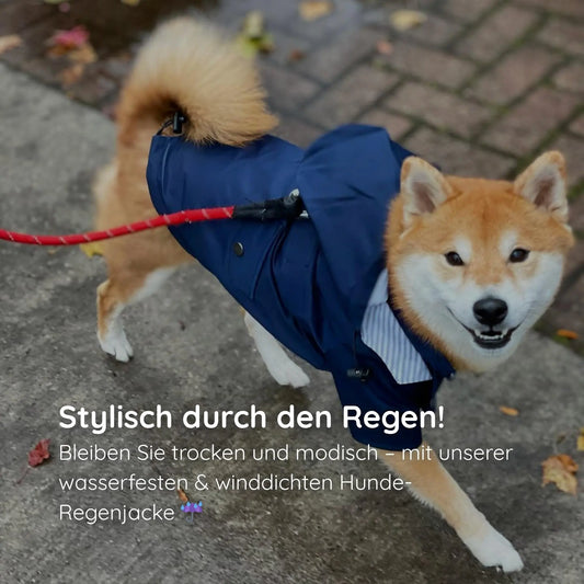 Rain jacket for dogs – stylish &amp; waterproof