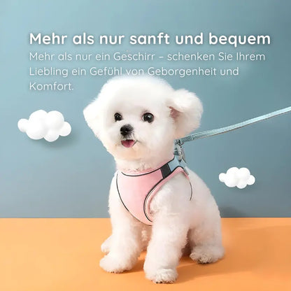 Softgeschirr für Katzen & kleine Hunde – Samtweich & Sicher Happylittlepaws