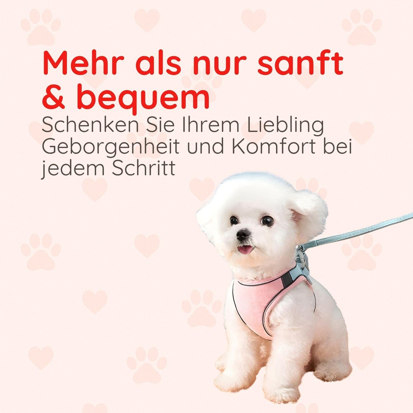 Softgeschirr für Katzen & kleine Hunde – Samtweich & Sicher Happy Little Paws