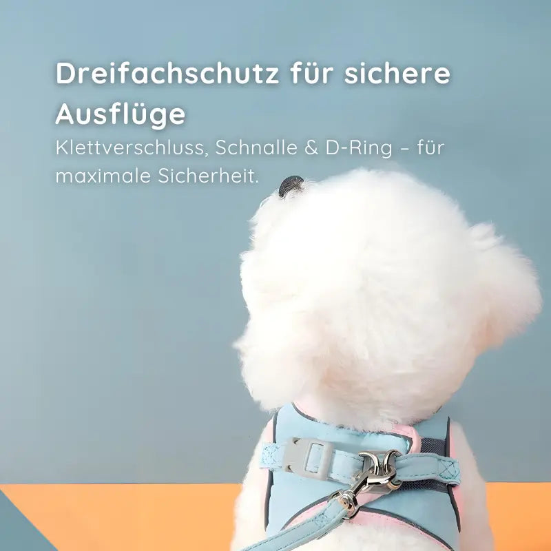 Softgeschirr für Katzen & kleine Hunde – Samtweich & Sicher - Happy Little Paws