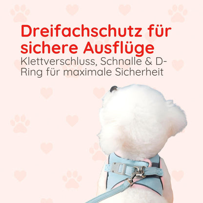 Softgeschirr für Katzen & kleine Hunde – Samtweich & Sicher Happy Little Paws