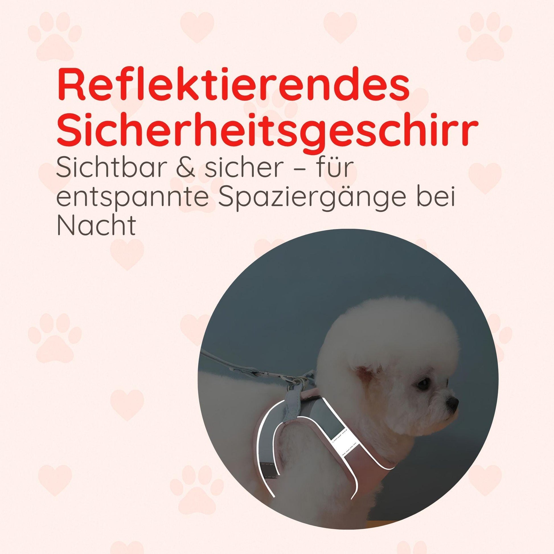 Softgeschirr für Katzen & kleine Hunde – Samtweich & Sicher - Happylittlepaws