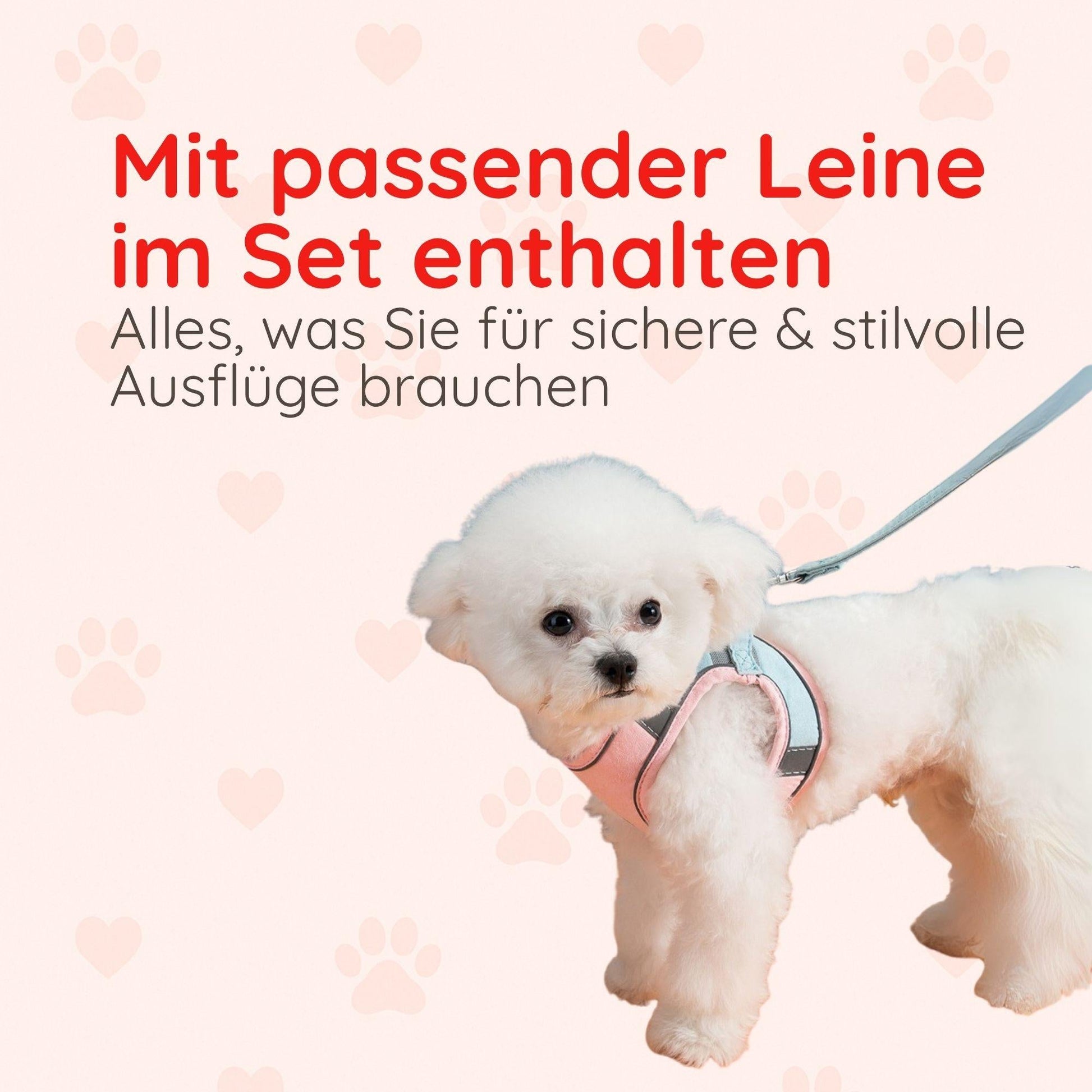 Softgeschirr für Katzen & kleine Hunde – Samtweich & Sicher Happy Little Paws