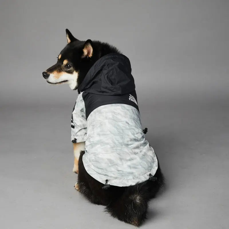 Stylische Hunde-Regenjacke – Wasserdicht Happylittlepaws
