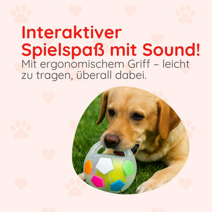 Transparenter Hundeball – Beißfest & mit Sound - Happy Little Paws