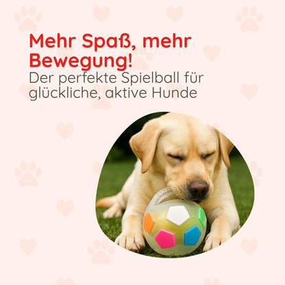 Transparenter Hundeball – Beißfest & mit Sound - Happy Little Paws