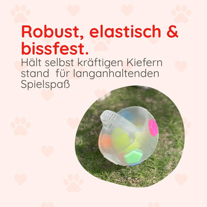 Transparenter Hundeball – Beißfest & mit Sound - Happy Little Paws