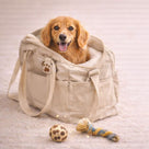 Transport & Unterwegs