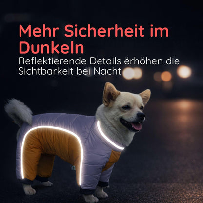 Winter-Overall für Hunde – Wasserabweisend & Reflektierend