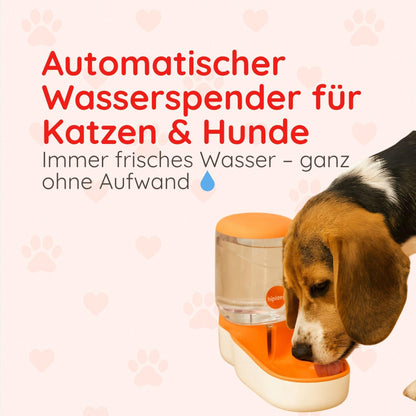 Wasserspender für Haustiere – Automatisch & BPA-frei Happy Little Paws