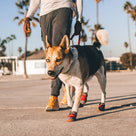 Transport & Unterwegs