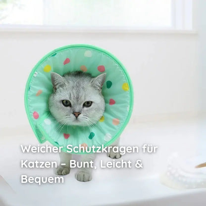 Weiche Haustier-Halskrause – Gepolstert, Wasserdicht & Bunt - Happylittlepaws