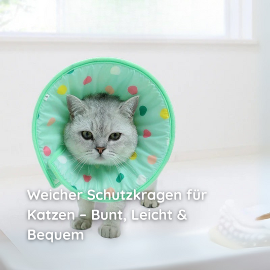 Weiche Haustier-Halskrause – Gepolstert, Wasserdicht & Bunt Happylittlepaws