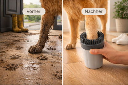 Pflege-Set – Sauberes Zuhause in 3 oder 4 Schritten