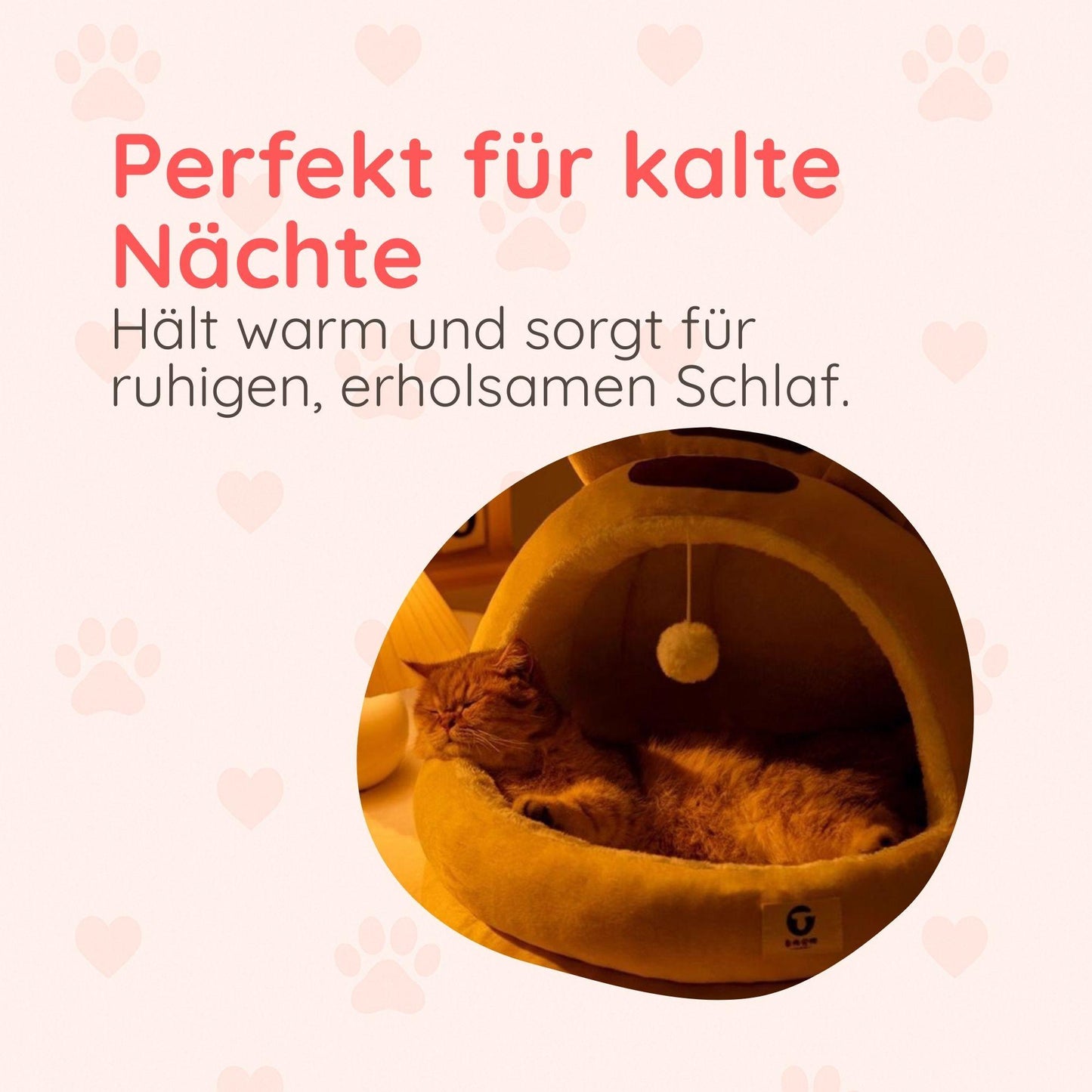 Wohlfühl-Nest für Katzen – Kuschelig & Sicher