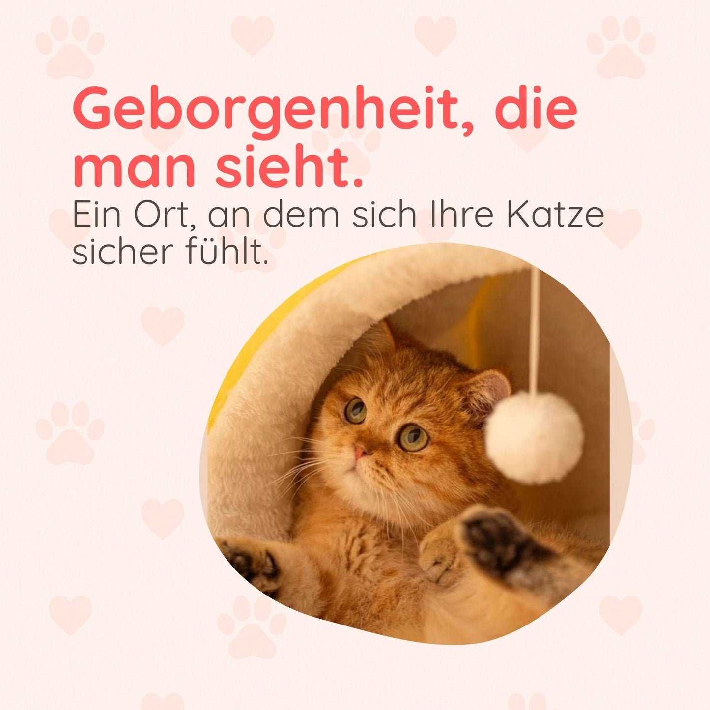 Wohlfühl-Nest für Katzen – Kuschelig & Sicher