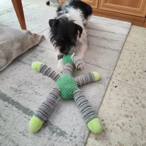 Kundenfoto 1 mit Hund von Happy Little Paws